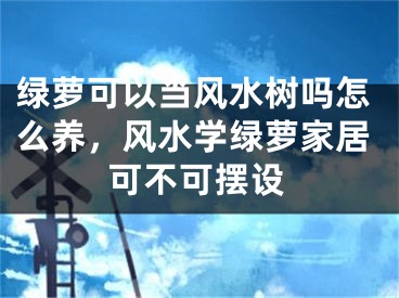 绿萝可以当风水树吗怎么养，风水学绿萝家居可不可摆设