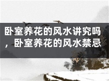 卧室养花的风水讲究吗，卧室养花的风水禁忌