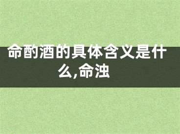命酌酒的具体含义是什么,命浊