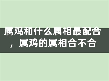 属鸡和什么属相最配合，属鸡的属相合不合