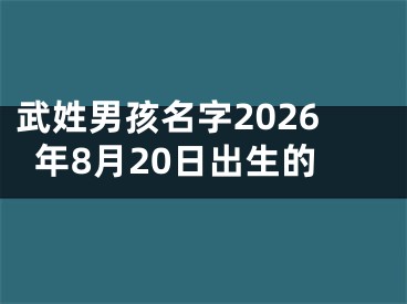 武姓男孩名字2026年8月20日出生的