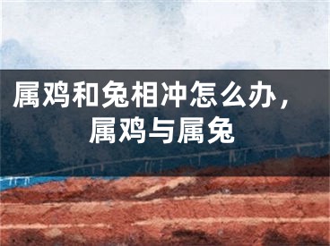 属鸡和兔相冲怎么办，属鸡与属兔