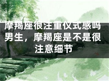 摩羯座很注重仪式感吗男生，摩羯座是不是很注意细节
