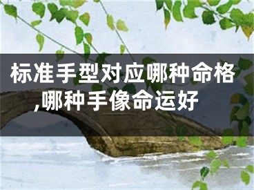 标准手型对应哪种命格,哪种手像命运好
