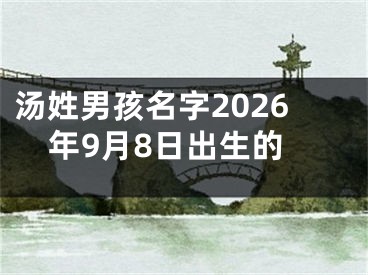 汤姓男孩名字2026年9月8日出生的