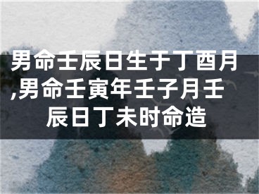 男命壬辰日生于丁酉月,男命壬寅年壬子月壬辰日丁未时命造