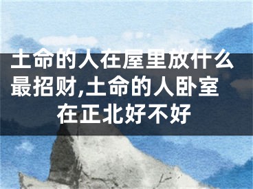 土命的人在屋里放什么最招财,土命的人卧室在正北好不好