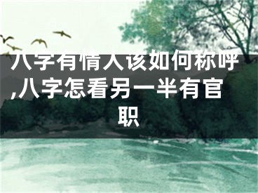 八字有情人该如何称呼,八字怎看另一半有官职