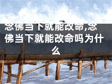 念佛当下就能改命,念佛当下就能改命吗为什么