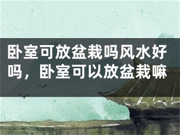 卧室可放盆栽吗风水好吗，卧室可以放盆栽嘛