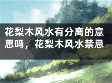 花梨木风水有分离的意思吗，花梨木风水禁忌