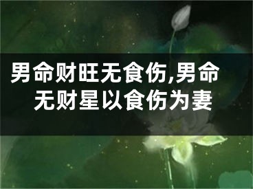 男命财旺无食伤,男命无财星以食伤为妻
