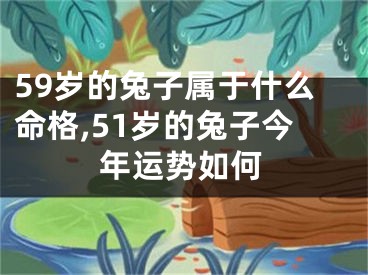 59岁的兔子属于什么命格,51岁的兔子今年运势如何