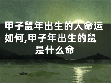 甲子鼠年出生的人命运如何,甲子年出生的鼠是什么命