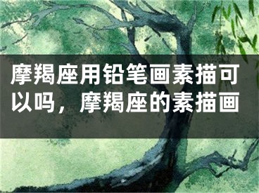 摩羯座用铅笔画素描可以吗,摩羯座的素描画
