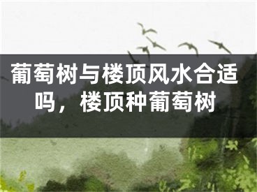 葡萄树与楼顶风水合适吗，楼顶种葡萄树