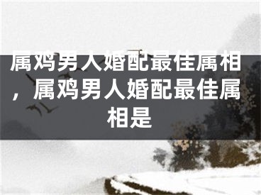 属鸡男人婚配最佳属相，属鸡男人婚配最佳属相是