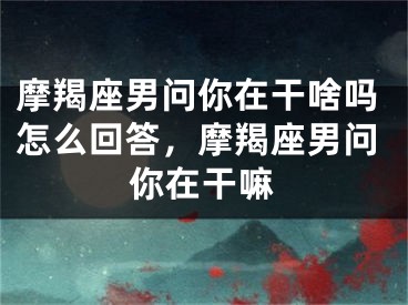 摩羯座男问你在干啥吗怎么回答，摩羯座男问你在干嘛