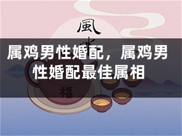 属鸡男性婚配，属鸡男性婚配最佳属相