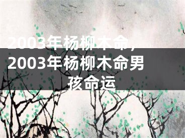 2003年杨柳木命，2003年杨柳木命男孩命运