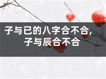 子与已的八字合不合,子与辰合不合