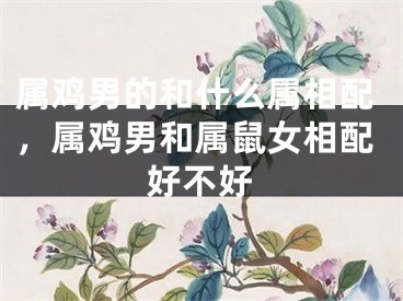 属鸡男的和什么属相配，属鸡男和属鼠女相配好不好