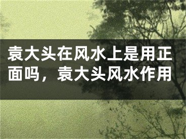 袁大头在风水上是用正面吗，袁大头风水作用