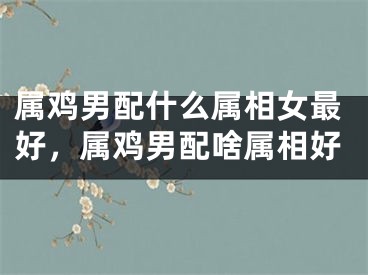 属鸡男配什么属相女最好，属鸡男配啥属相好