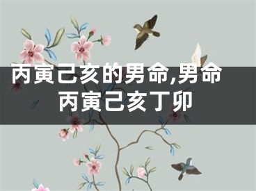 丙寅己亥的男命,男命丙寅己亥丁卯