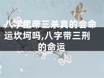 八字里带三杀真的会命运坎坷吗,八字带三刑的命运