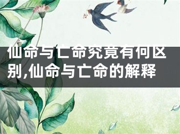 仙命与亡命究竟有何区别,仙命与亡命的解释