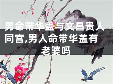 男命带华盖与文昌贵人同宫,男人命带华盖有老婆吗