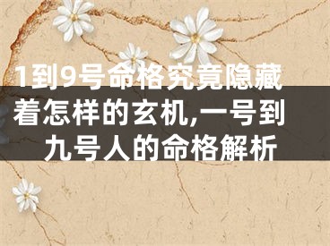 1到9号命格究竟隐藏着怎样的玄机,一号到九号人的命格解析