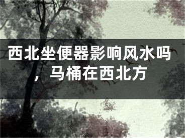 西北坐便器影响风水吗，马桶在西北方