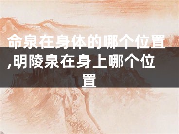 命泉在身体的哪个位置,明陵泉在身上哪个位置