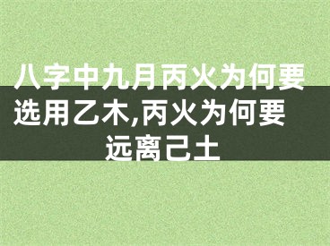 八字中九月丙火为何要选用乙木,丙火为何要远离己土