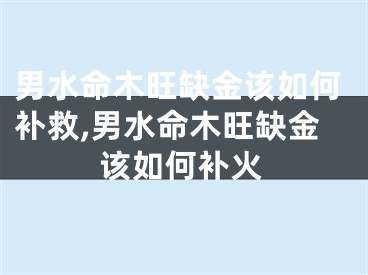 男水命木旺缺金该如何补救,男水命木旺缺金该如何补火