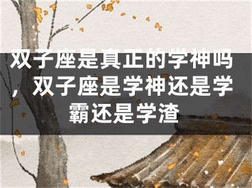 双子座是真正的学神吗，双子座是学神还是学霸还是学渣
