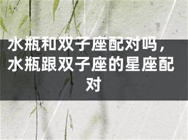 水瓶和双子座配对吗，水瓶跟双子座的星座配对