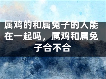 属鸡的和属兔子的人能在一起吗，属鸡和属兔子合不合