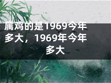 属鸡的是1969今年多大,1969年今年多大