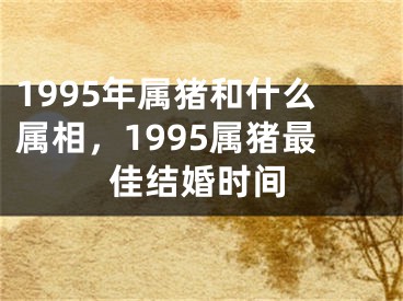 1995年属猪和什么属相，1995属猪最佳结婚时间