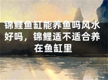 锦鲤鱼缸能养鱼吗风水好吗，锦鲤适不适合养在鱼缸里