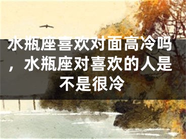 水瓶座喜欢对面高冷吗，水瓶座对喜欢的人是不是很冷