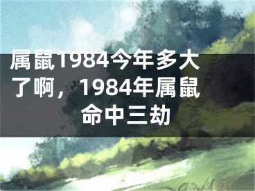 属鼠1984今年多大了啊，1984年属鼠命中三劫