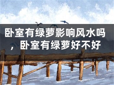 卧室有绿萝影响风水吗，卧室有绿萝好不好