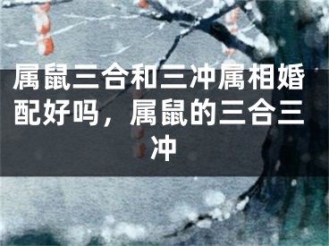 属鼠三合和三冲属相婚配好吗，属鼠的三合三冲