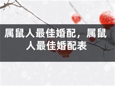 属鼠人最佳婚配，属鼠人最佳婚配表
