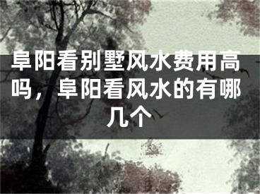 阜阳看别墅风水费用高吗，阜阳看风水的有哪几个