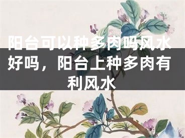 阳台可以种多肉吗风水好吗，阳台上种多肉有利风水